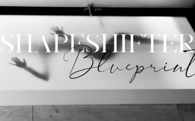 The Shapeshifter Blueprint: The world is your playground