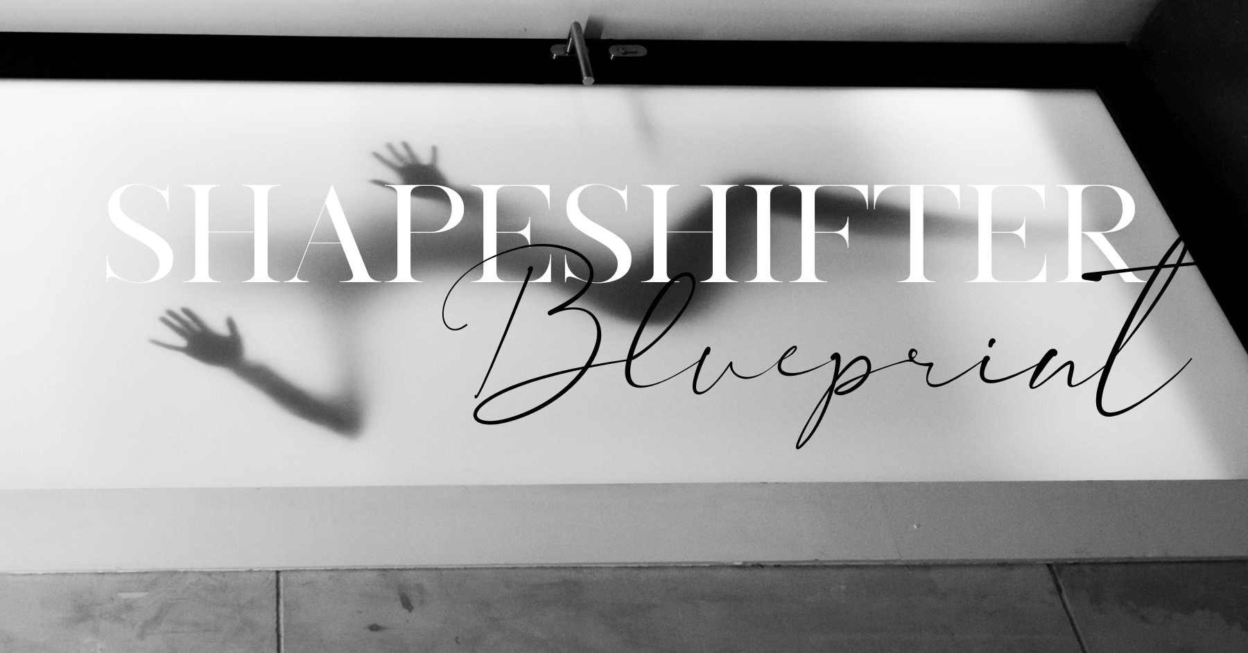 Shapeshifter Blueprint